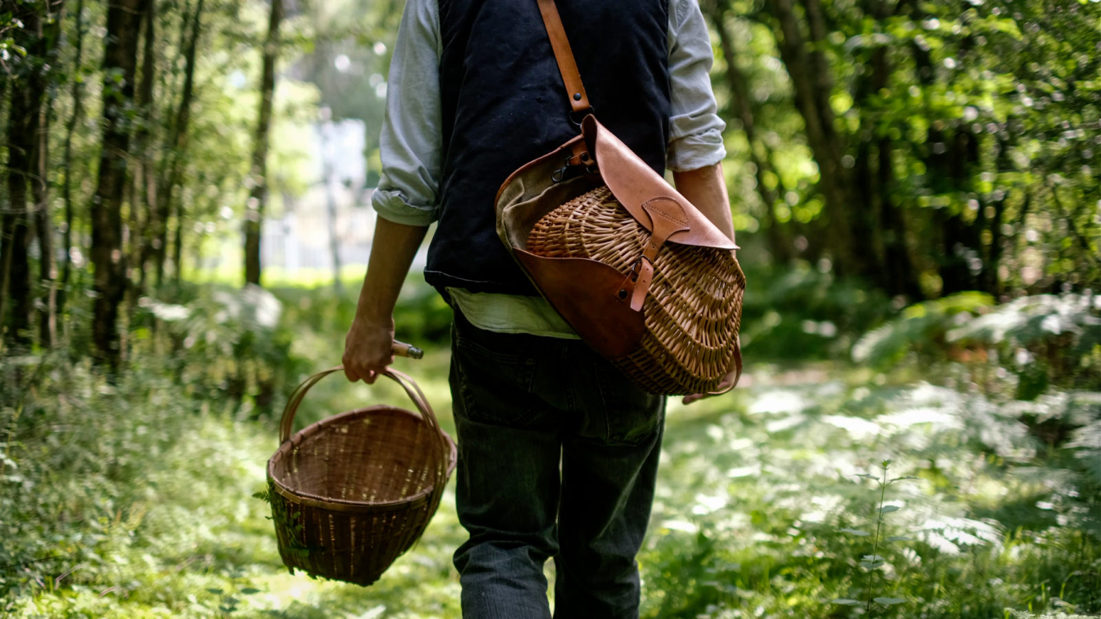 Field to Fork Foraging: Spring Fungi, Herbs and Blossoms Picnic Feast