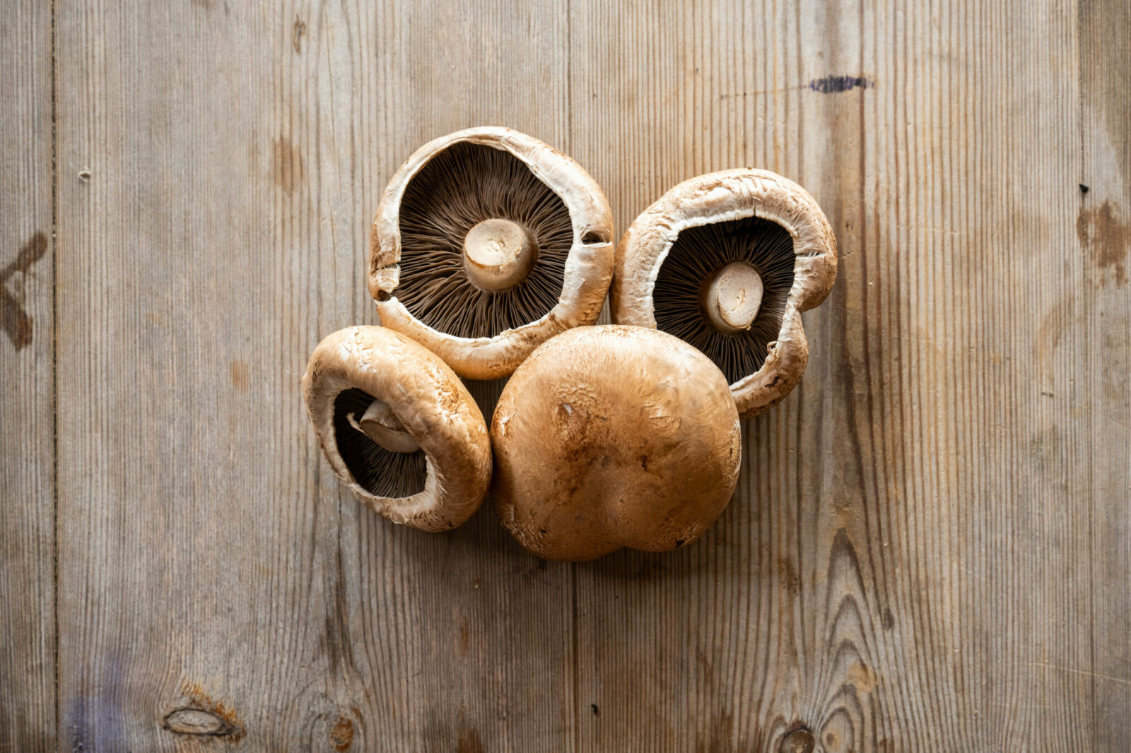 Organic Portobello Mushrooms 4 Pack Cowdray Estate